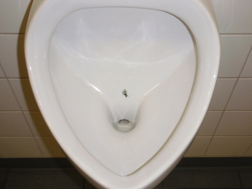 Urinal with an etched fly.